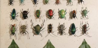 Game Over by PES – El poder de los fans Game Over by PES