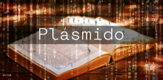 Plásmido Plásmido