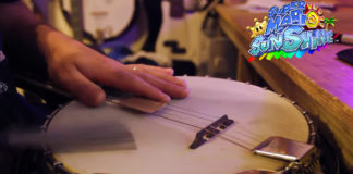 Super Mario Sunshine Delfino Plaza interpretada por Banjo Guy Ollie Super Mario Sunshine Delfino Plaza interpretada por Banjo Guy Ollie