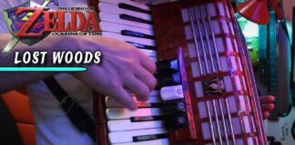 Zelda Ocarina of Time Lost Woods Cover por Banjo Guy Ollie Zelda Ocarina of Time Lost Woods Cover por Banjo Guy Ollie