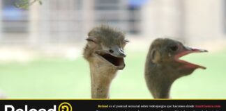 Podcast Reload Episodio 16 Temporada 13 Propósitos 2022 Podcast Reload Episodio 16 Temporada 13