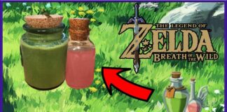 Elixir energético (con grillos reales) y tónico de hadas de Zelda BOTW Elixir energético (con grillos reales) y tónico de hadas de Zelda BOTW