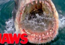46 Curiosidades de Tiburon – Jaws (1975) 46 Curiosidades de Tiburon - Jaws (1975)