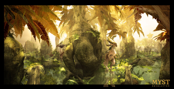 Swamp 2004