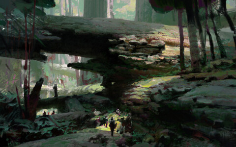 Fallen_Logs-Theo_Prins-2015