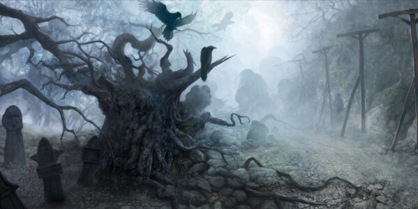 The_Road-Damian_Bajowski