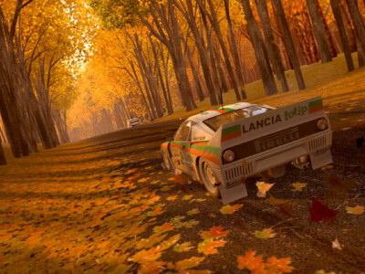 Autumn Race 2004